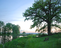 Schloss Sommersforf Franconia Bavaria country view photo